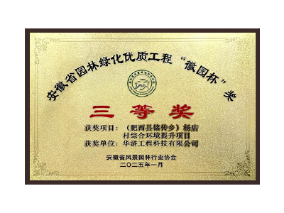 阿里地区荣获2025“徽园杯”奖三等奖