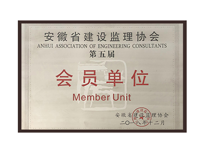 阿里地区安徽省建设监理协会